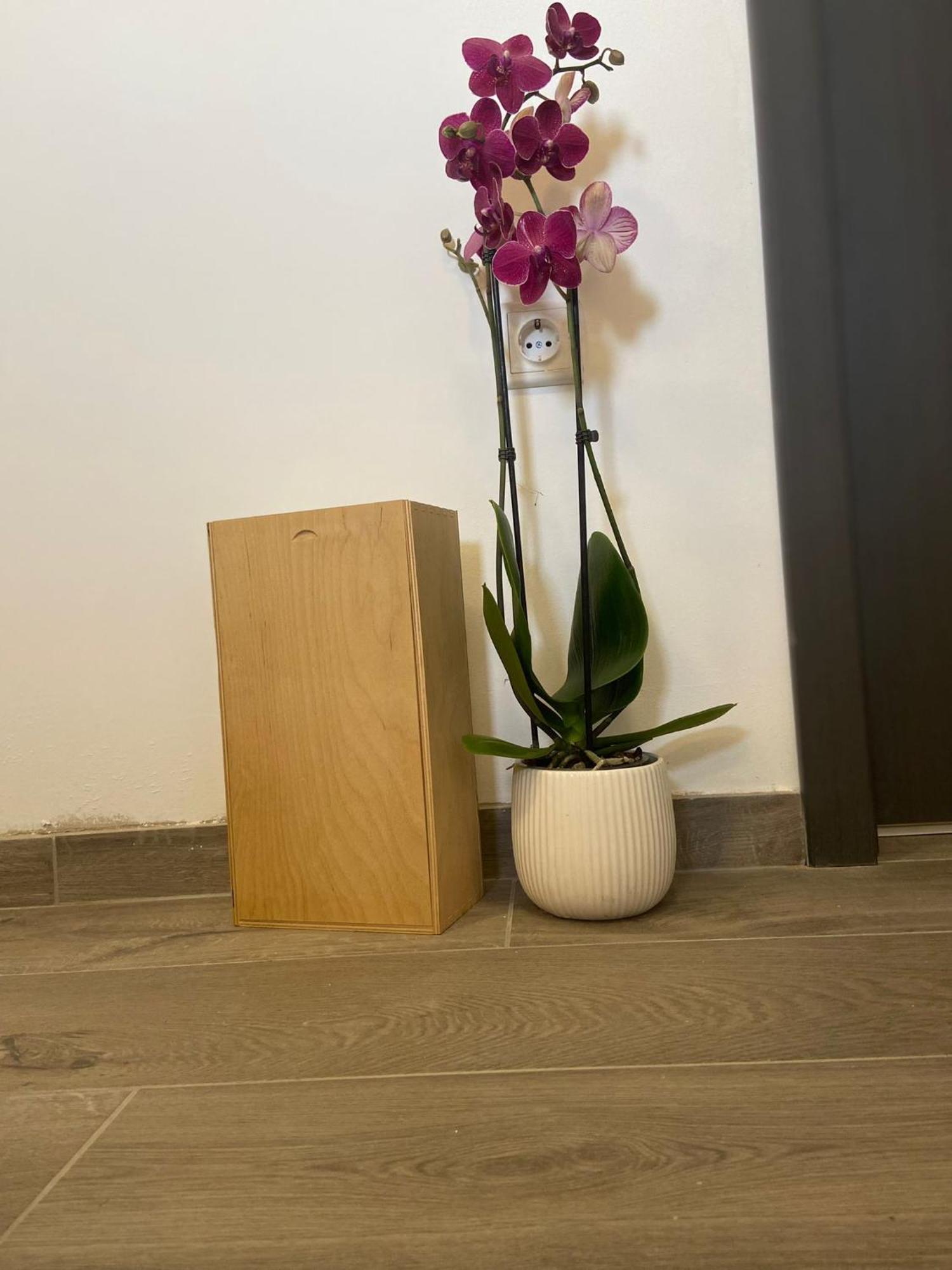 Lucia Apartament Split
